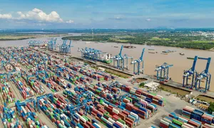 Rủi ro nào với xuất khẩu vào Mỹ năm nay? Rủi ro nào với xuất khẩu vào Mỹ năm nay?