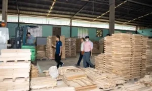 Mỹ chi 4,6 tỷ USD nhập gỗ Việt trong nửa năm Mỹ chi 4,6 tỷ USD nhập gỗ Việt trong nửa năm